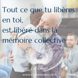 Memoire-collective_CellRelease